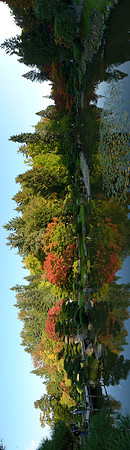 LF1-169_ISO 80_1-125 sec at f - 5.6_ at 6 mm