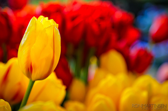 GPRM Workshop 1-1574-Edit