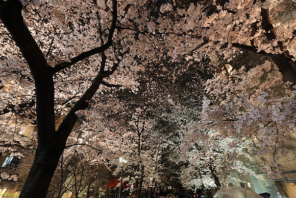 CC9I4921 Canon EOS-1D X Mark II EF16-35mm f-2.8L III USM 16 mm 1-25 sec at f - 5.6 ISO 6400_