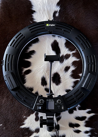 Ring Light Review-10