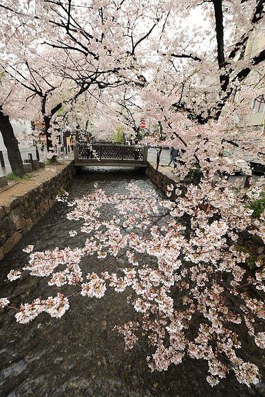 CC9I5462 Canon EOS-1D X Mark II EF16-35mm f-2.8L III USM 16 mm 1-60 sec at f - 5.6 ISO 200_