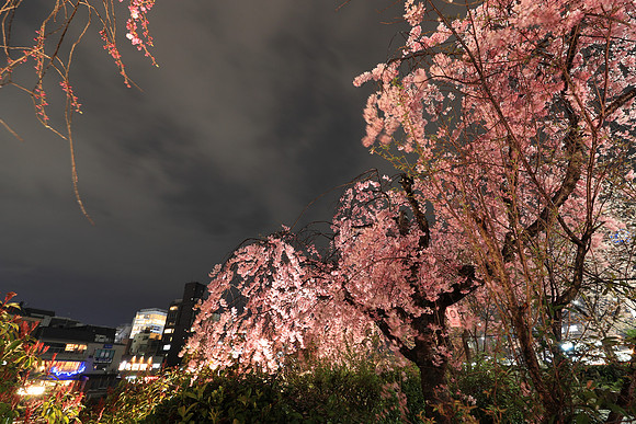 CC9I4924 Canon EOS-1D X Mark II EF16-35mm f-2.8L III USM 16 mm 4.0 sec at f - 5.6 ISO 400_