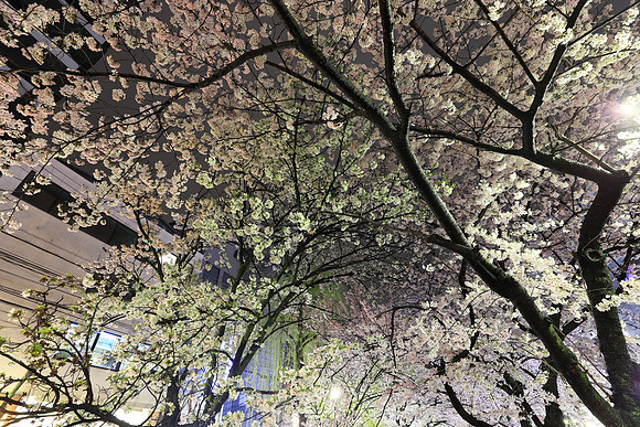 CC9I5416 Canon EOS-1D X Mark II EF16-35mm f-2.8L III USM 17 mm 2.5 sec at f - 5.6 ISO 400_