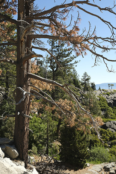 Lake Tahoe 2019-1302 [1-340 sec at f - 5.6 24.2 mm Fujifilm X-T30 XF16-55mmF2.8 R LM WR]