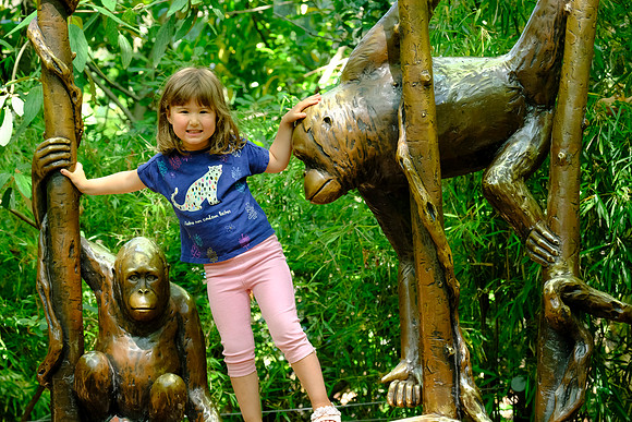 X-T3 Woodland Park Zoo 2019-199 [1-70 sec at f - 5.6 100 mm Fujifilm X-T30 XF100-400mmF4.5-5.6 R LM OIS WR]