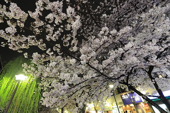 CC9I5418 Canon EOS-1D X Mark II EF16-35mm f-2.8L III USM 16 mm 0.6 sec at f - 5.6 ISO 400_