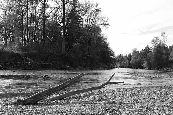 Fuji GFX Snoqualmie-33