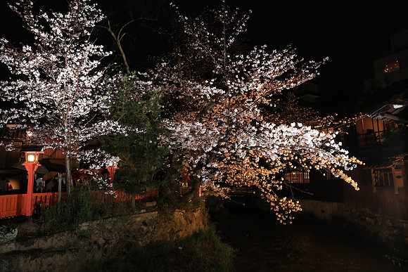 CC9I4902 Canon EOS-1D X Mark II EF16-35mm f-2.8L III USM 25 mm 1-15 sec at f - 5.6 ISO 1600_