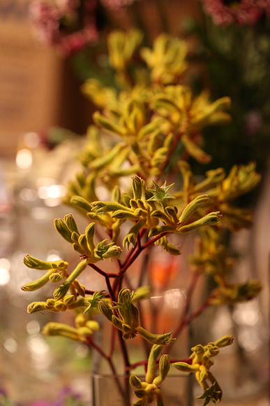 Canon 1D-X First Shots-34_ISO 10000__1-100 sec at f - 5.6