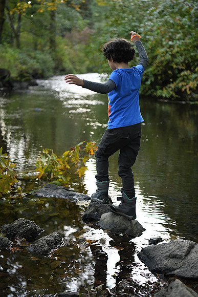 D850 Fall-938 NIKON D850 24.0-70.0 mm f-2.8 52 mm 1-1000 sec at f - 2.8 ISO 5000_