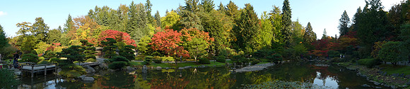LF1-168_ISO 80_1-125 sec at f - 5.6_ at 6 mm