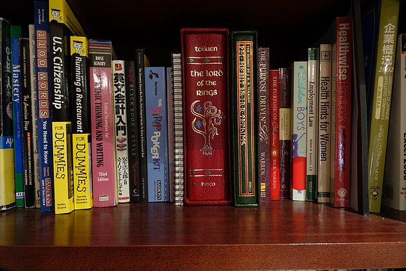 RX10Bookshelf-103_ISO 125_20.0 sec at f - 8.0_8.8-73.3 mm f-2.8 at 8.8 mm