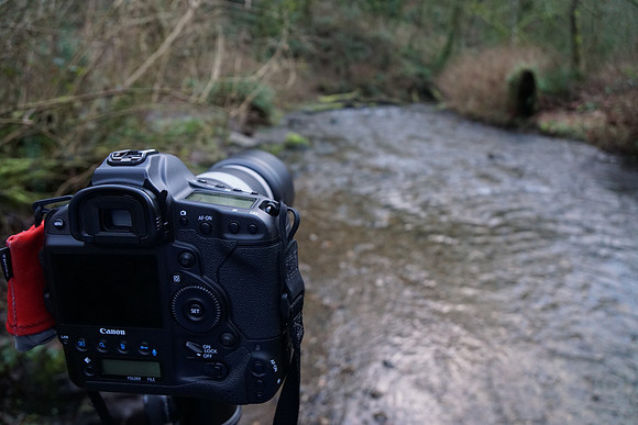 a6000-322-a3000-322_ISO 1600_1-60 sec at f - 4.0_E 16-70mm F4 ZA OSS at 16 mm
