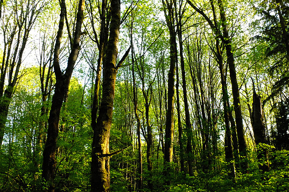 X-S1-171_ISO 1250_1-250 sec at f - 6.4_ at 7.9 mm