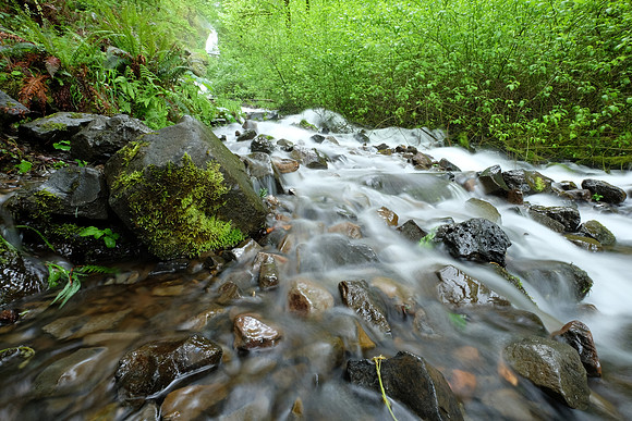 FujiOR-140_ISO 200_2.3 sec at f - 20_XF10-24mmF4 R OIS at 10 mm