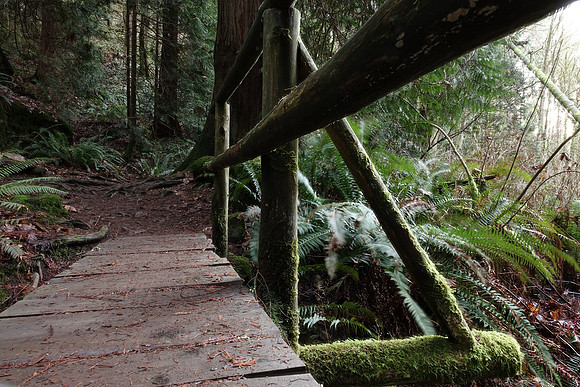 Sony_RX10-296_ISO 160_8.0 sec at f - 9.0_8.8-73.3 mm f-2.8 at 8.83 mm