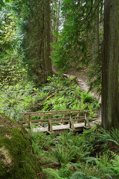 Woods A7R4-46 [2.0 sec at f - 11 32 mm Sony ILCE-7RM4 FE 24-105mm F4 G OSS]