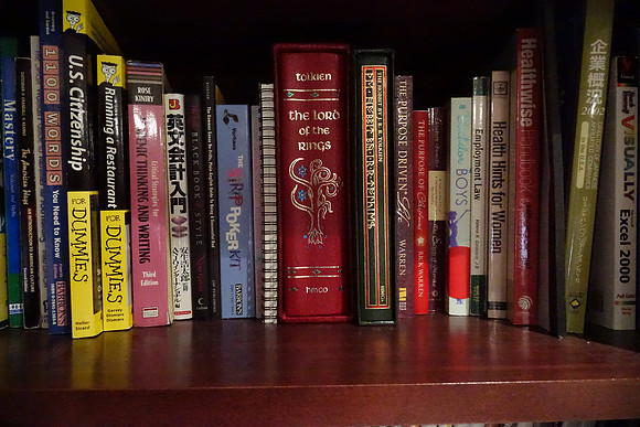 RX10Bookshelf-26_ISO 12800_1-20 sec at f - 4.0_8.8-73.3 mm f-2.8 at 8.8 mm