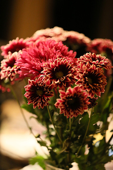 Canon 1D-X First Shots-68_ISO 12800__1-125 sec at f - 2.8
