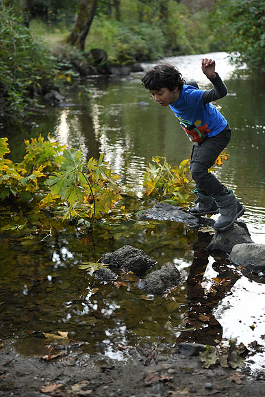 D850 Fall-943 NIKON D850 24.0-70.0 mm f-2.8 52 mm 1-1000 sec at f - 2.8 ISO 6400_