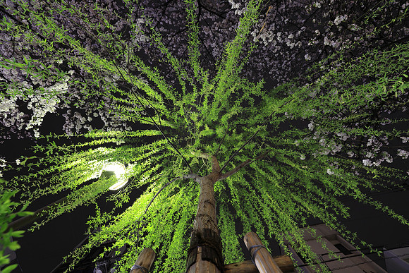 CC9I5420 Canon EOS-1D X Mark II EF16-35mm f-2.8L III USM 16 mm 0.8 sec at f - 5.6 ISO 400_