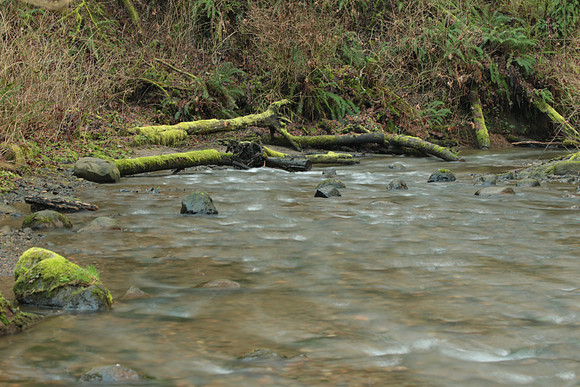 Bower MIN