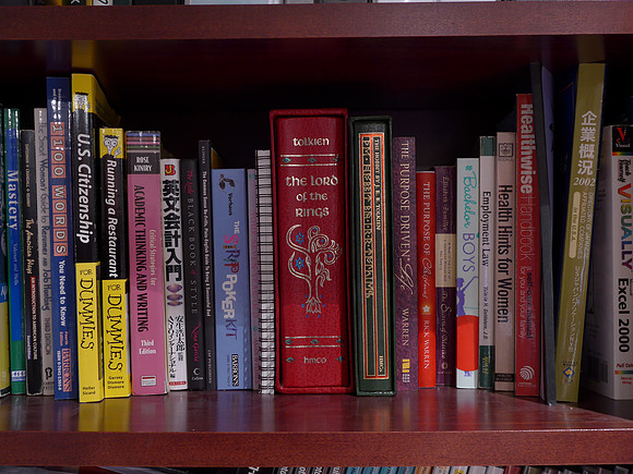 LF1 Books-4_ISO 100_4.0 sec at f - 4.0_ at 9.5 mm