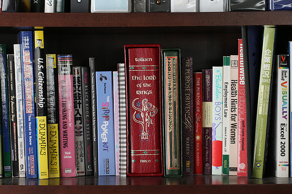 Sigma 120-300 Bookshelf-13_ISO 100_5.0 sec at f - 22_120-300mm at 120 mm - DAYTIME