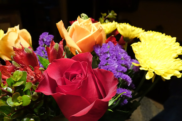 Sony_RX10-182_ISO 2500_1-30 sec at f - 5.6_8.8-73.3 mm f-2.8 at 8.8 mm