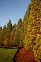 a3000-93_ISO 500_1-60 sec at f - 22_E 18-55mm F3.5-5.6 OSS at 24 mm