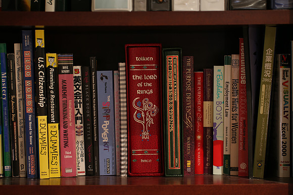 Sigma 120-300 Bookshelf-15_ISO 100_2.0 sec at f - 2.8_120-300mm at 120 mm