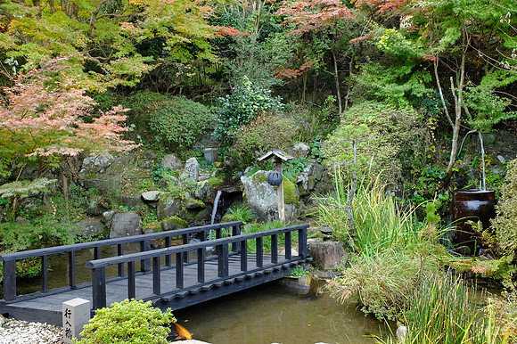 AsiaSnapshots-64_NR-2_ISO 250_1-30 sec at f - 3.2_ at 7.1 mm