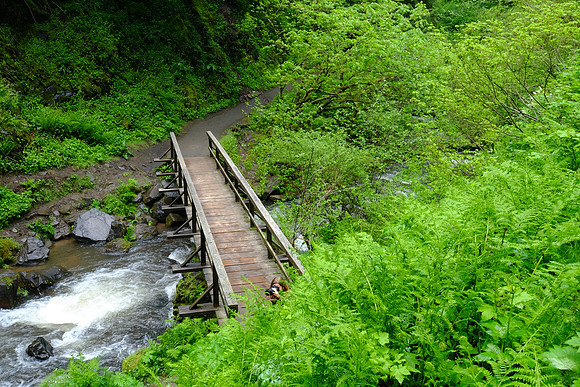 FujiOR-52_ISO 200_1-60 sec at f - 5.6_XF10-24mmF4 R OIS at 24 mm