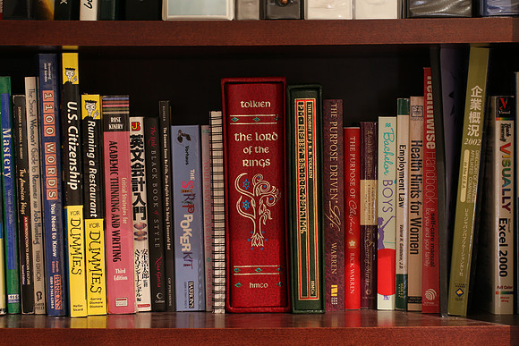 Sigma 120-300 Bookshelf-24_ISO 640_25.0 sec at f - 22_120-300mm at 120 mm