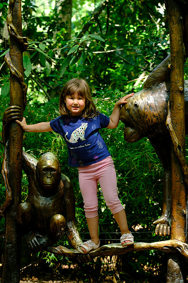 X-T3 Woodland Park Zoo 2019-203 [1-150 sec at f - 5.6 100 mm Fujifilm X-T30 XF100-400mmF4.5-5.6 R LM OIS WR]