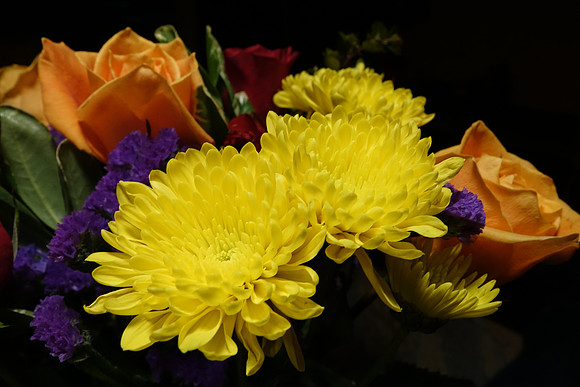 Sony_RX10-178_ISO 640_1-30 sec at f - 5.6_8.8-73.3 mm f-2.8 at 8.8 mm
