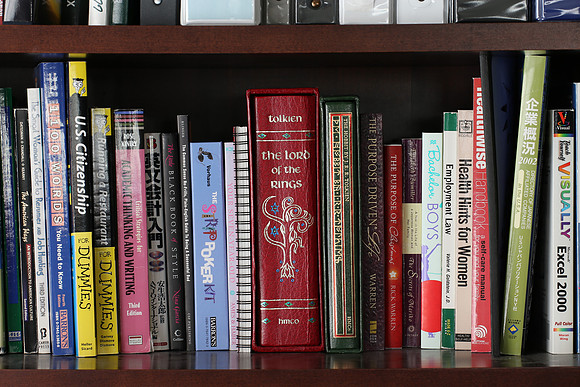 Sigma 120-300 Bookshelf-11_ISO 100_1.6 sec at f - 11_120-300mm at 120 mm - DAYTIME