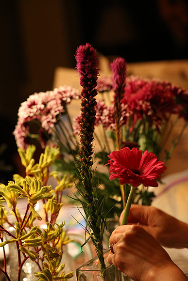 Canon 1D-X First Shots-36_ISO 12800__1-100 sec at f - 5.6