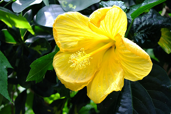 X-S1-348_ISO 320_1-60 sec at f - 4.0_ at 15.1 mm