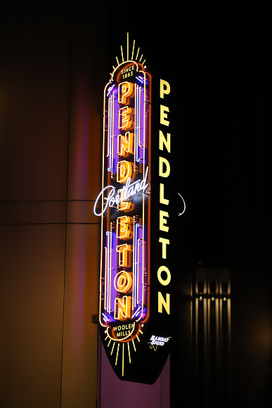 Portland-270 Canon EOS 6D Mark II EF24-105mm f-4L IS II USM 105 mm 1-250 sec at f - 5.6 ISO 3200_