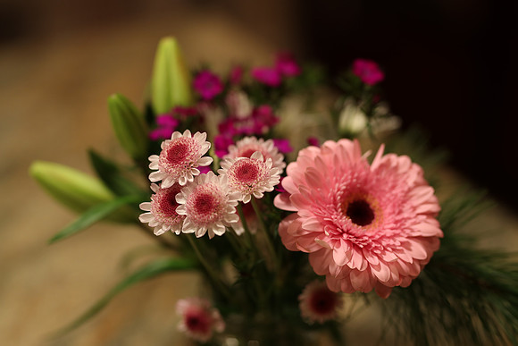 Sig85ArtFlowers-39 Canon EOS-1D X Mark II 85mm F1.4 DG HSM - Art 016 85 mm 1-125 sec at f - 2.0 ISO 800_