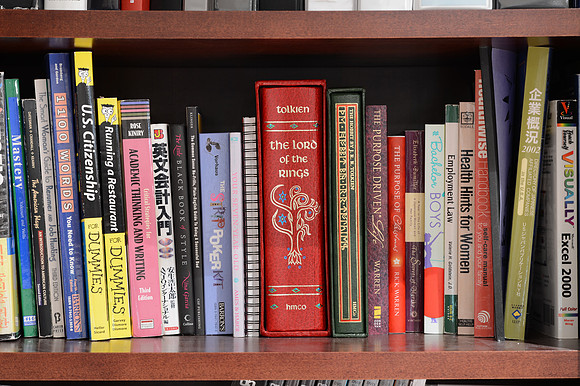 Bookshelf Nikon D4-2_ISO 100_100 mm_25.0 sec at f - 8.0