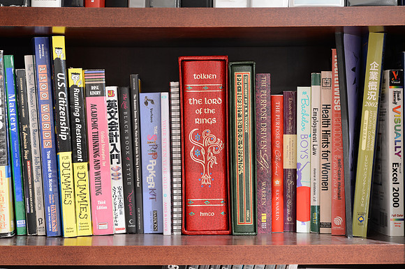 Bookshelf Nikon D4-6_ISO 400_100 mm_8.0 sec at f - 8.0