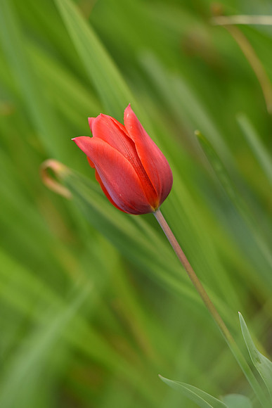 D7200Rev-72_ISO 280_1-200 sec at f - 2.8_70.0-200.0 mm f-2.8 at 190 mm