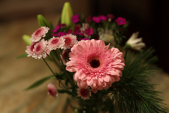 Sig85ArtFlowers-19 Canon EOS-1D X Mark II 85mm F1.4 DG HSM - Art 016 85 mm 1-125 sec at f - 2.5 ISO 1250_
