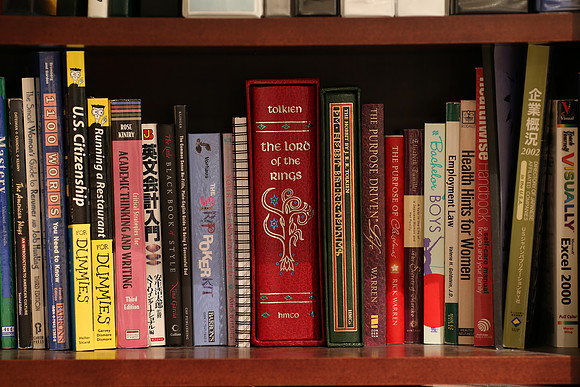 Sigma 120-300 Bookshelf-30_ISO 100_6.0 sec at f4_120-300mm at 200 mm
