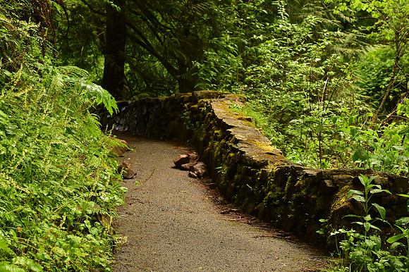 Oregon-156_ISO 5000_1-200 sec at f - 11_70.0-200.0 mm f-2.8 at 90 mm