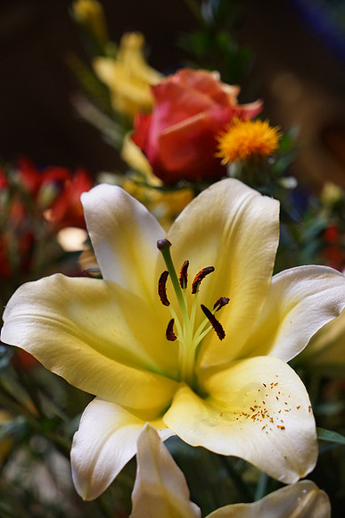 A7RII-10_ISO 4000_1-160 sec at f - 5.0_FE 24-70mm F4 ZA OSS at 70 mm