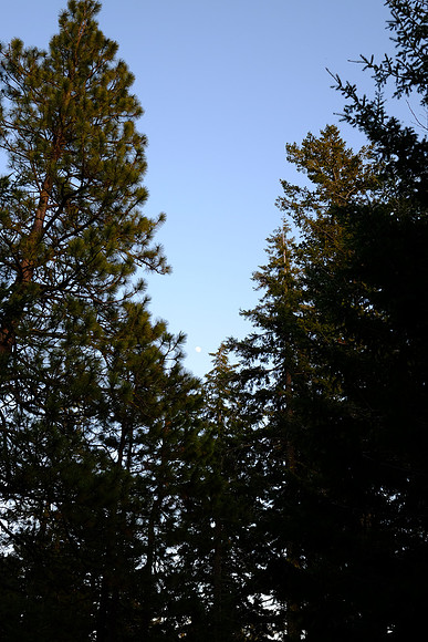XT-1-628_ISO 500_1-60 sec at f - 8.0_XF23mmF1.4 R at 23 mm