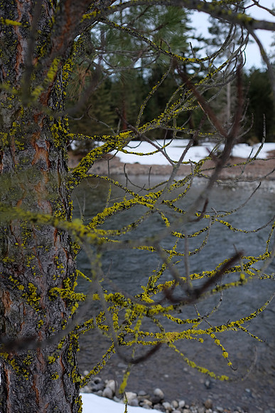 23mmLens@2.8-115_ISO 400_1-1200 sec at f - 2.8_XF23mmF1.4 R at 23 mm